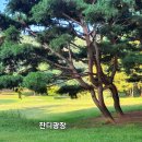 정발산로 이미지