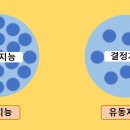 첨단인지학습센터 네이버블로그