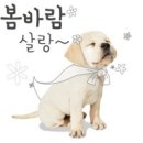 김동물병원 이미지