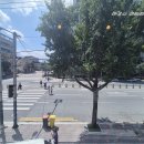 중리롯데캐슬 상가 앞 이미지