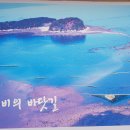 "보령의 '무창포'해변 및 '대천'해변을 찾아서"＜2021.04.16(금)＞ 이미지