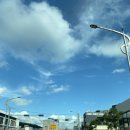 태종대 | 영도맛집 태종대김밥 후기 — 바다 보면서 먹는 김밥 한 줄의 행복 🍙