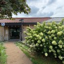 오봉근린공원 | 인천 도림동 애견동반 베이커리 카페 추천 마크로스터스 | 주차장 정보