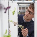 영국농장 이미지