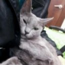 양지종합동물병원 이미지