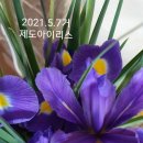 2021.7.3토요일[출석부] 이미지