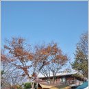 산장가든 이미지