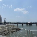 마도로스횟집돌고래조개구이회센타 이미지