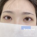 쁨래쉬 네이버블로그