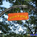 이산면사무소 이미지