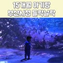 (유)동화환경 | 15개월아기와 부산시청 들락날락 후기 및 위치, 이용시간, 주차정보