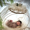 경기 여주공공산후조리원 | 🌿 경기 포천공공산후조리원 후기