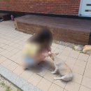 스테이246 | [양평] 감성있는 양평펜션 stay246 (스테이246) 내돈내산 숙박후기