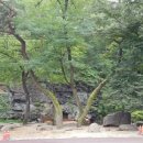 구미여자중학교 이미지