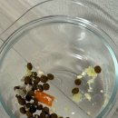 개스토랑 이미지