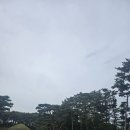 [경북 경주 명소 방문 / 경북 경주 사적제26호 방문후기] 괘릉(원성왕릉) 방문후기