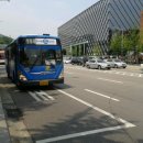 안암입구 솔밭 이미지