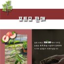 도원유통