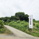 쩜쩜쩜 | 시흥 카페 쩜쩜쩜 부천 스타필드 근처 카페 아이랑 갈만한 곳