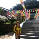 장미원입구 이미지