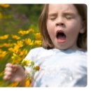 건강하나로약국 이미지