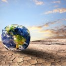 바이탈사인 이미지