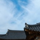 달을품은꽃 이미지