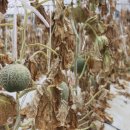 구미가축병원 이미지