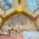 그늘막37 이미지