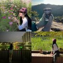 @ 골뱅이 PC방 | 10월 넷째주 포토 다이어리 (전주 여행을 곁들였지만 사진은 없는)