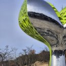 충남 서천 아이와가볼만한곳 국립생태원 에코리움 방문 후기