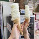 도야지 친구들 네이버블로그