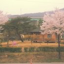 박사보건진료소 이미지