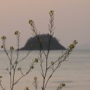 강릉 정동진 가다 / 김동원 시인 / 바다와 시니피앙 / 시뮬라크르 / 꼽추 누이 / 집어등集魚燈 / 흐렁 흐렁 흐렁 / 이미지