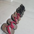 스테이더담 가곡 이미지