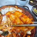 함평나비(무안) | 함평맛집추천 함평애돌판 오삼볶음 함평 가볼만한 곳 내돈내산 솔직후기