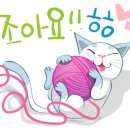 케이팝레포츠 네이버블로그
