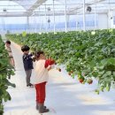 예솔농장 이미지