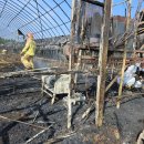 구수리 농장 이미지