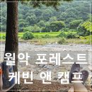 포레스트 월악 이미지