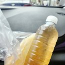 [내돈내산] 주문진 생선구이 맛집 | 실비생선구이 큰집 솔직후기
