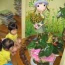 새아기나라어린이집 이미지