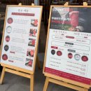 배불리 | 안양샤브샤브맛집 샤브20에서 배불리 즐긴 후기