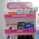송약국 이미지