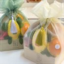 장수비닐봉투 | 남자친구·여자친구 부모님선물 고민 끝｜상견례 자리용으로도 완벽한 구성 과일바구니 내돈내산 후기