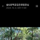 20241004(금)고덕숲,롯데캐슬베네루체,강동든든,어울림2 이미지