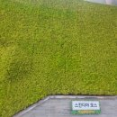 춘천시청 이미지