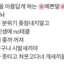 하란몰