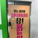 안느테라피