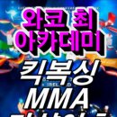 와코최 아카데미 Daum카페
